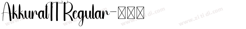 AkkuratTT Regular字体转换